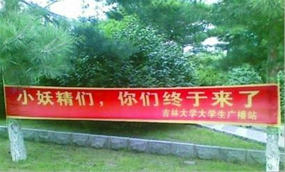 小妖精们来了，小妖精们，你们终于来了