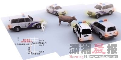 點(diǎn)擊瀏覽下一頁